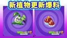 新植物预告爆料视频播放,神秘植物即将亮相，带你领略自然之美